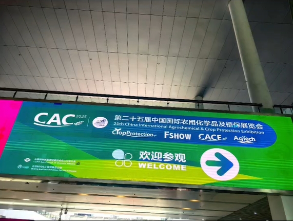 שנחאי CAC 2025